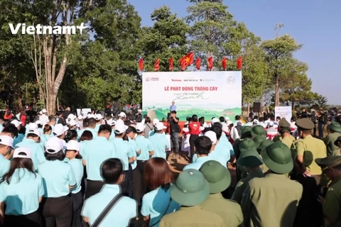 致力打造绿色越南的“森林之梦”活动正式启动 