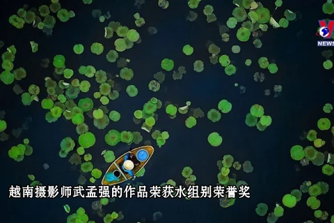 越南莲花池划船照片荣获2021年度大自然摄影大赛奖项