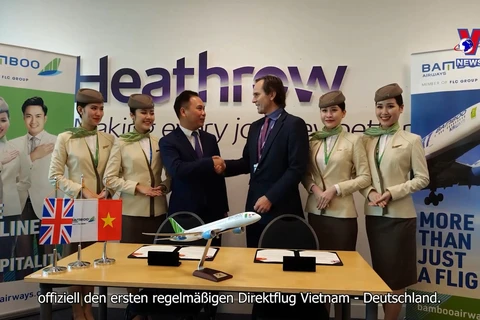 越南各家航空公司与各大伙伴开展战略性合作