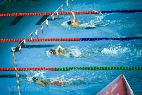 组图：越南游泳队为东运会积极锻炼 面向摘下8枚金牌目标