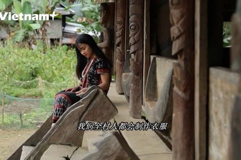 广南省戈都族传统纺织业 ​
