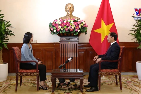裴青山外长：越南将与国际社会携手共建和平世界