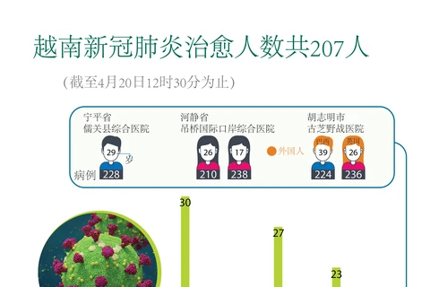 图表新闻：越南新冠肺炎痊愈人数共207人