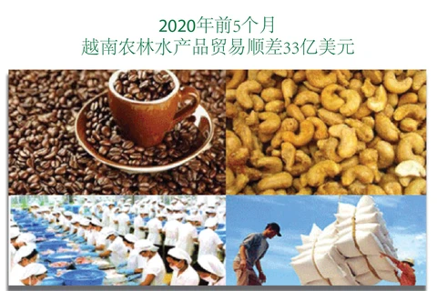 图表新闻：2020年前5个月 越南农林水产品贸易顺差33亿美元