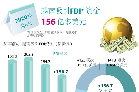 图表新闻：越南上半年引进的外资总额达156.7亿美元