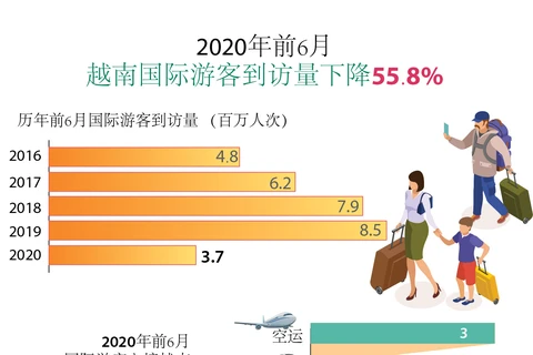 图表新闻：2020年前6月，越南接待国际游客量下降55.8%