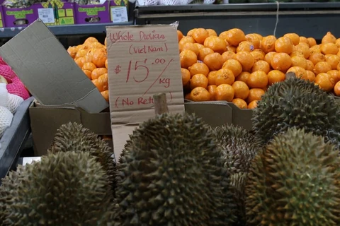 越南着力在澳大利亚市场促销榴莲