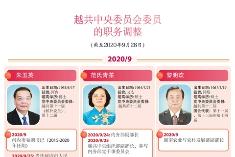 图表新闻：越共中央委员会委员的职务调整