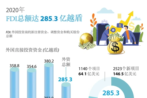图表新闻：2020年越南FDI总额达 285.3 亿越盾