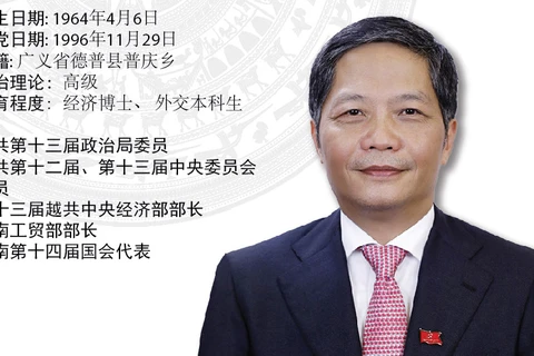 图表新闻：越共中央政治局委员陈俊英同志任中央经济部部长