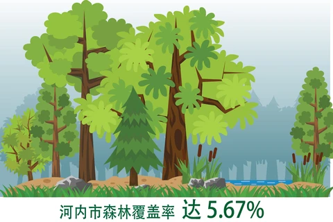 图表新闻：河内市森林覆盖率达 5.67%