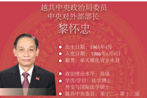 图表新闻：黎怀忠同志被任命为越共中央对外部部长