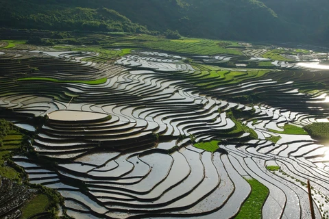 组图：层层叠叠的梯田让游客迷醉其中