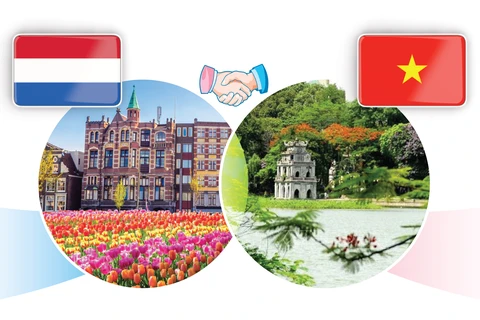 图表新闻：越南与荷兰全面伙伴关系
