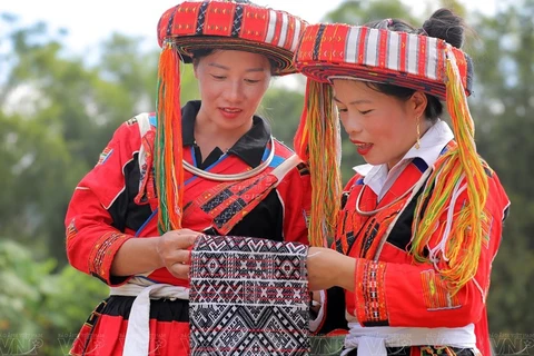 越南致力于弘扬人口极少的民族文化特色