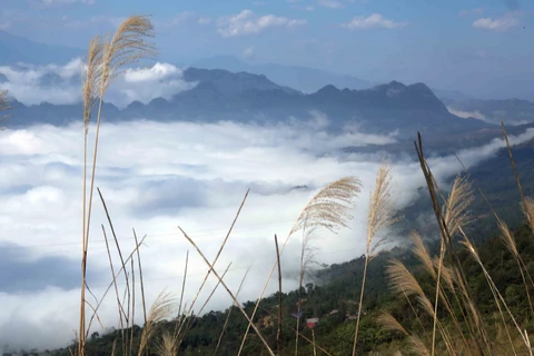 组图：来莱洲省欣赏云海的壮丽景观