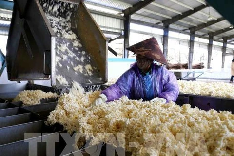 越南橡胶出口恢复增长前景较为乐观
