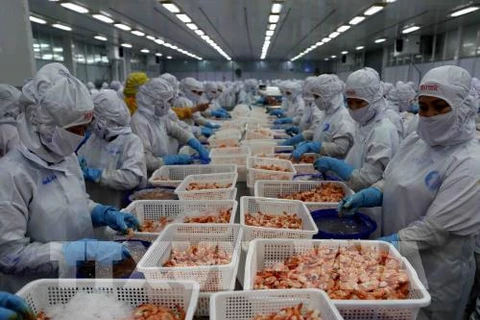 越南要研究对俄罗斯和波兰等新市场进行虾类出口