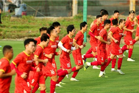 越南足球队将于5月31日在阿联酋与约旦队进行友谊赛