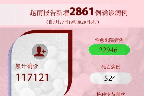 图表新闻：越南报告新增2861例确诊病例