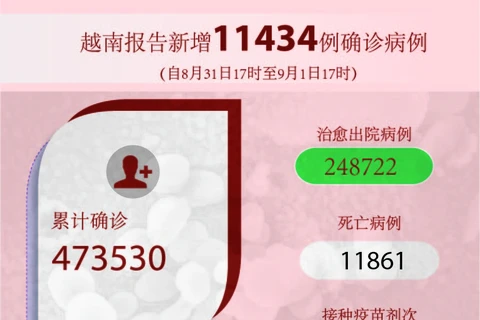 图表新闻：越南报告新增11434例确诊病例 新增死亡病例804例
