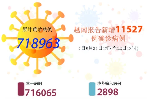 图表新闻：越南报告新增11527例确诊病例 新增死亡病例236例