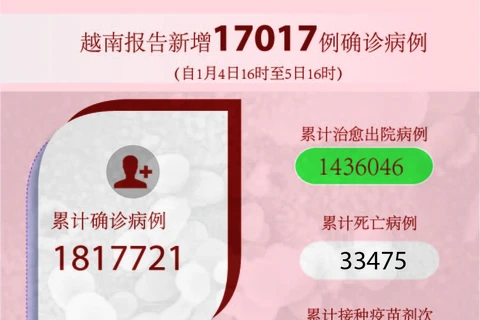 图表新闻：越南报告新增17017例确诊病例 新增死亡病例230例