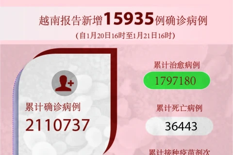 图表新闻：越南报告新增15935例确诊病例 新增死亡病例177例