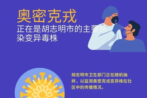 图表新闻：奥密克戎正是胡志明市的主要感染变异毒株
