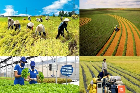 河内市通过扎实推进农业农村发展的12条激励政策
