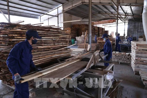 多措并举 促进富寿省木材加工业可持续发展