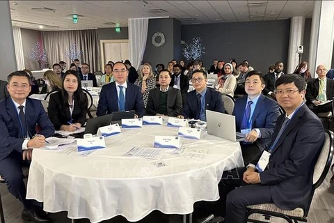 越南国家审计署代表团出席在芬兰举行的环境审计工作组第22次会议