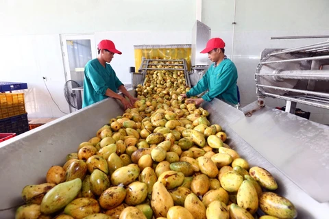 荷兰是越南蔬果的潜在市场