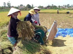 越南人类发展指数居世界第113位