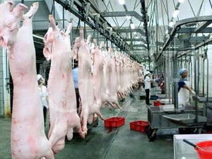 越南畜产食品 加工工业区