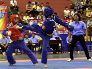 第11届越武道锦标赛在阿尔及利亚举行 