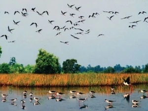 越南同塔鸟栖国家公园成为越南第4处国际重要湿地 