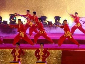 第四届越南传统武术国际节在平定省隆重开幕 
