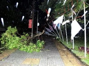 8号台风造成越南损失巨大北部和中部10死7伤