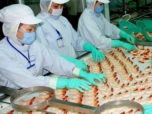 越南虾子出口加工