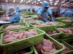 越南反对美国商务部针对越南查鱼做出不合理的决定