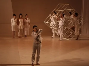 越南聋人当代舞蹈团在德国巡演