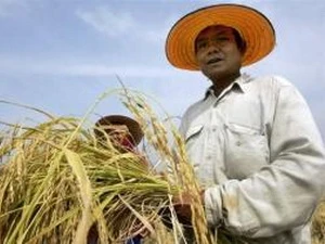第六届国际农民运动高级会议在印尼召开
