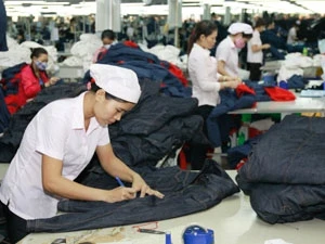 越南纺织服装业出口额有望达195亿美元