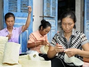 越南注重促进和保障妇女权益