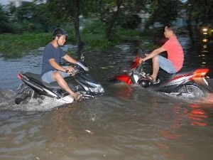越南南部各省市居民与潮水拼搏