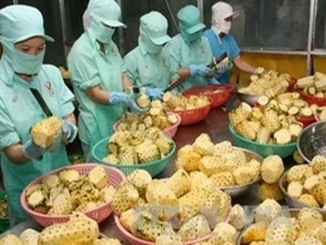 JETRO承诺协助越南扩大农产品对日本出口