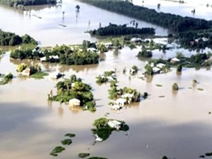越南九龙江三角洲遭受洪水造成的严重影响