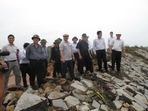 越南政府副总理黄忠海赴平定省进行实地考察本省灾情