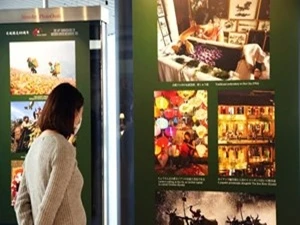 纪念越日建交40周年图片展在日本举行 